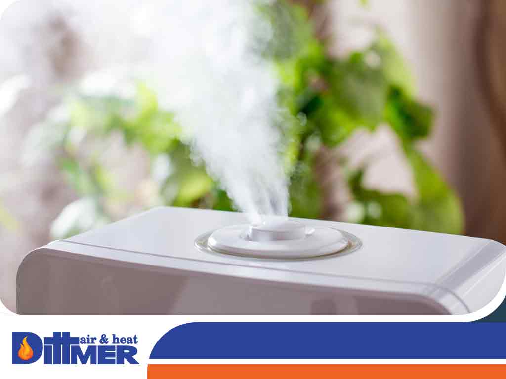 How High Indoor Humidity Can Affect Your Home and Health