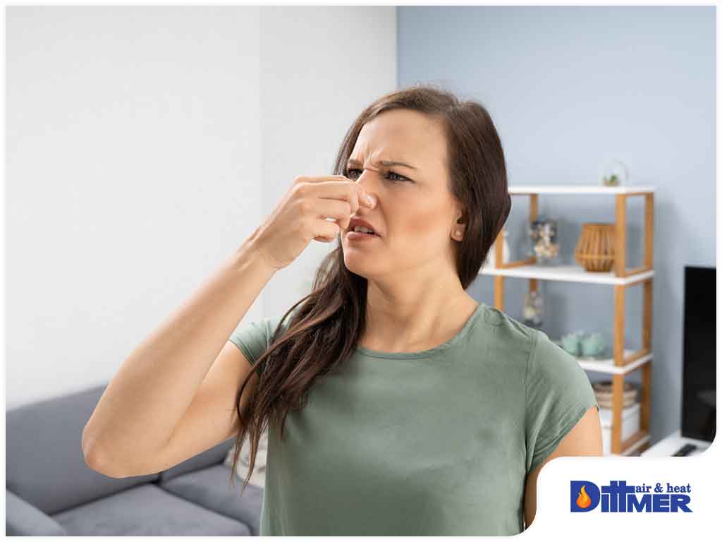 4 Key Reasons Why Your Air Conditioner Smells Musty