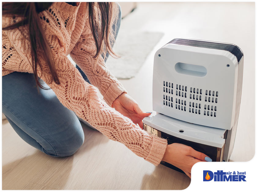 3 Things You Should Know Before Buying an Air Purifier